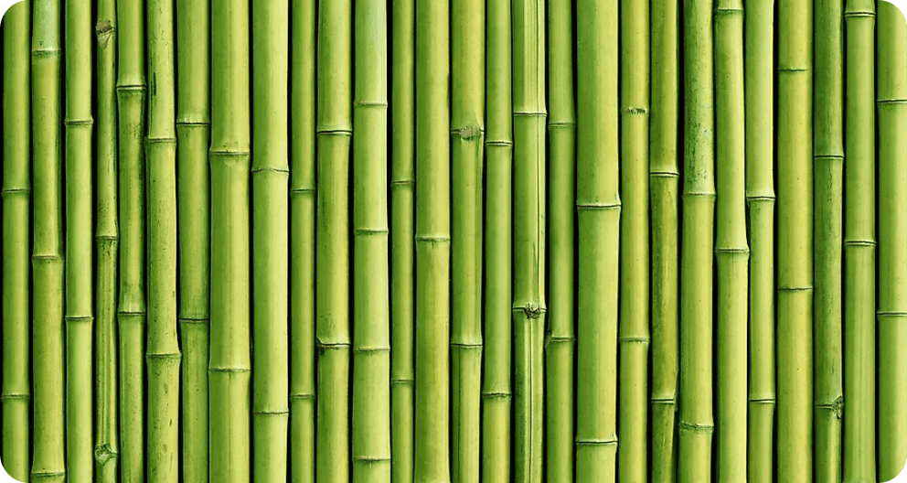 Bamboo Underwear