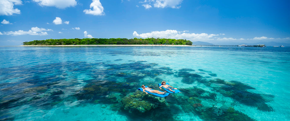 Dive into Paradise
