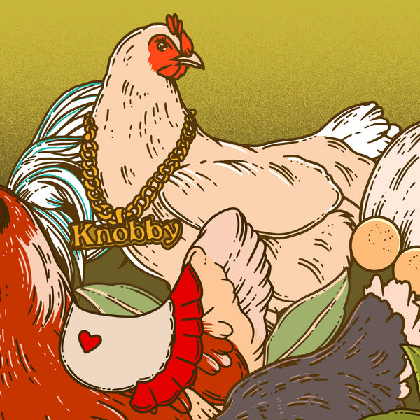 Chick Chick Boom