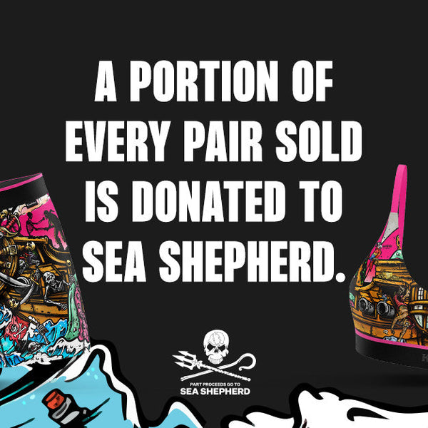 Schmoozin The Seas