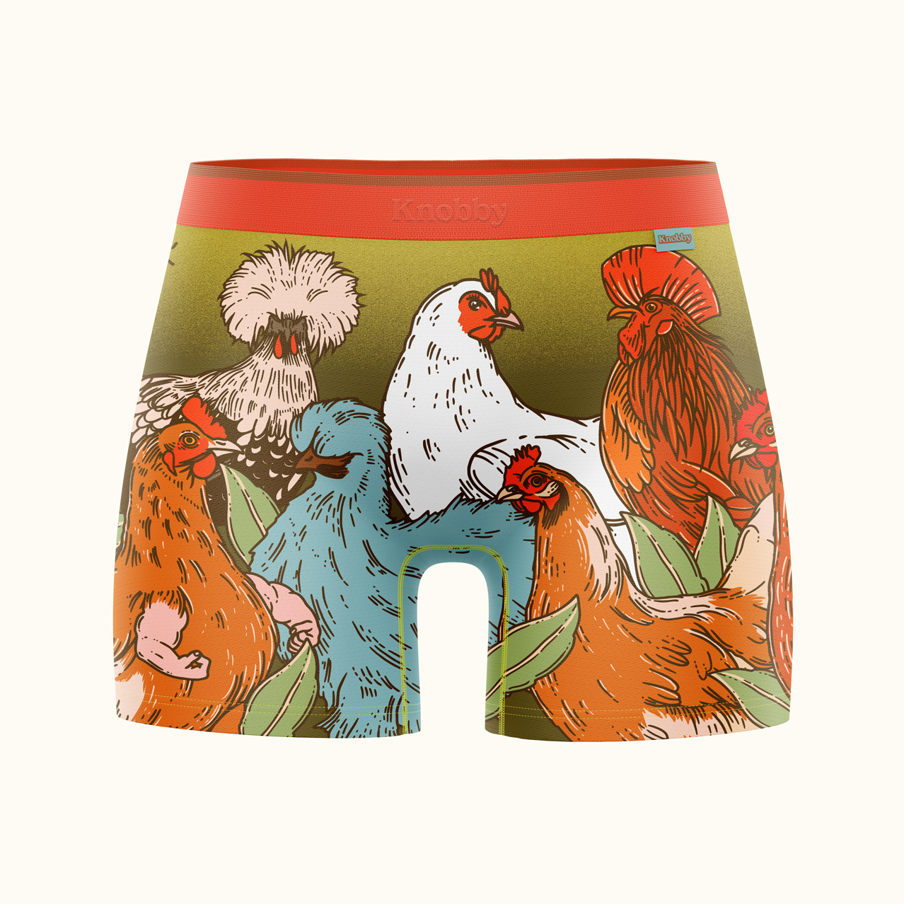 Little rooster boxer - Dbr-yakutia.ru
