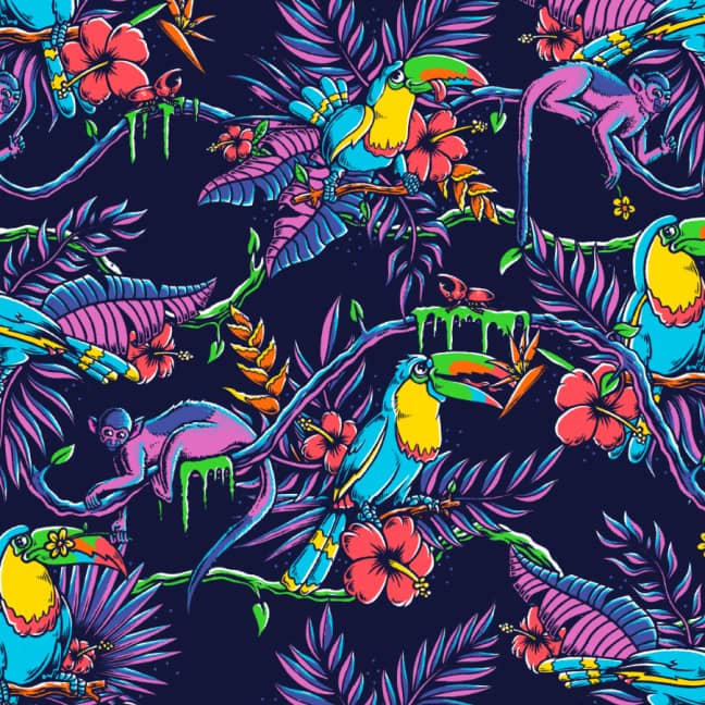Toucan Do It February