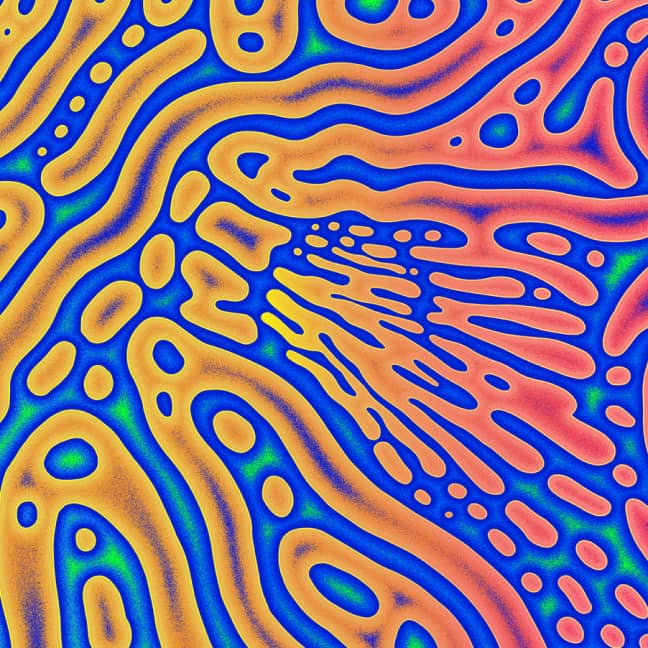 Coral Camo June