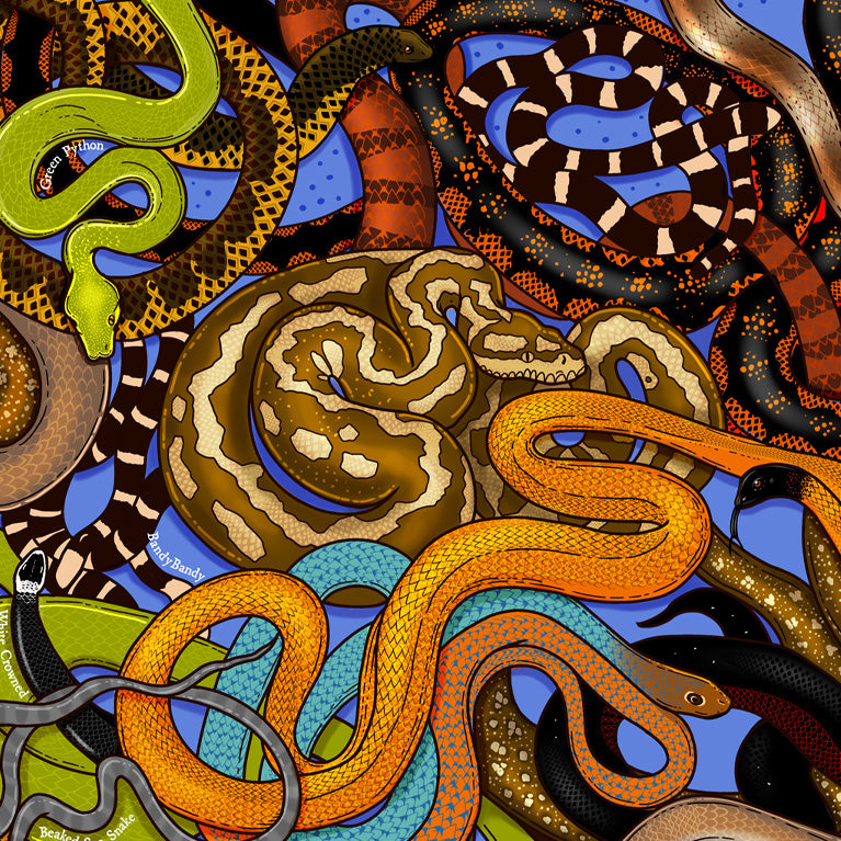 Snake Social January